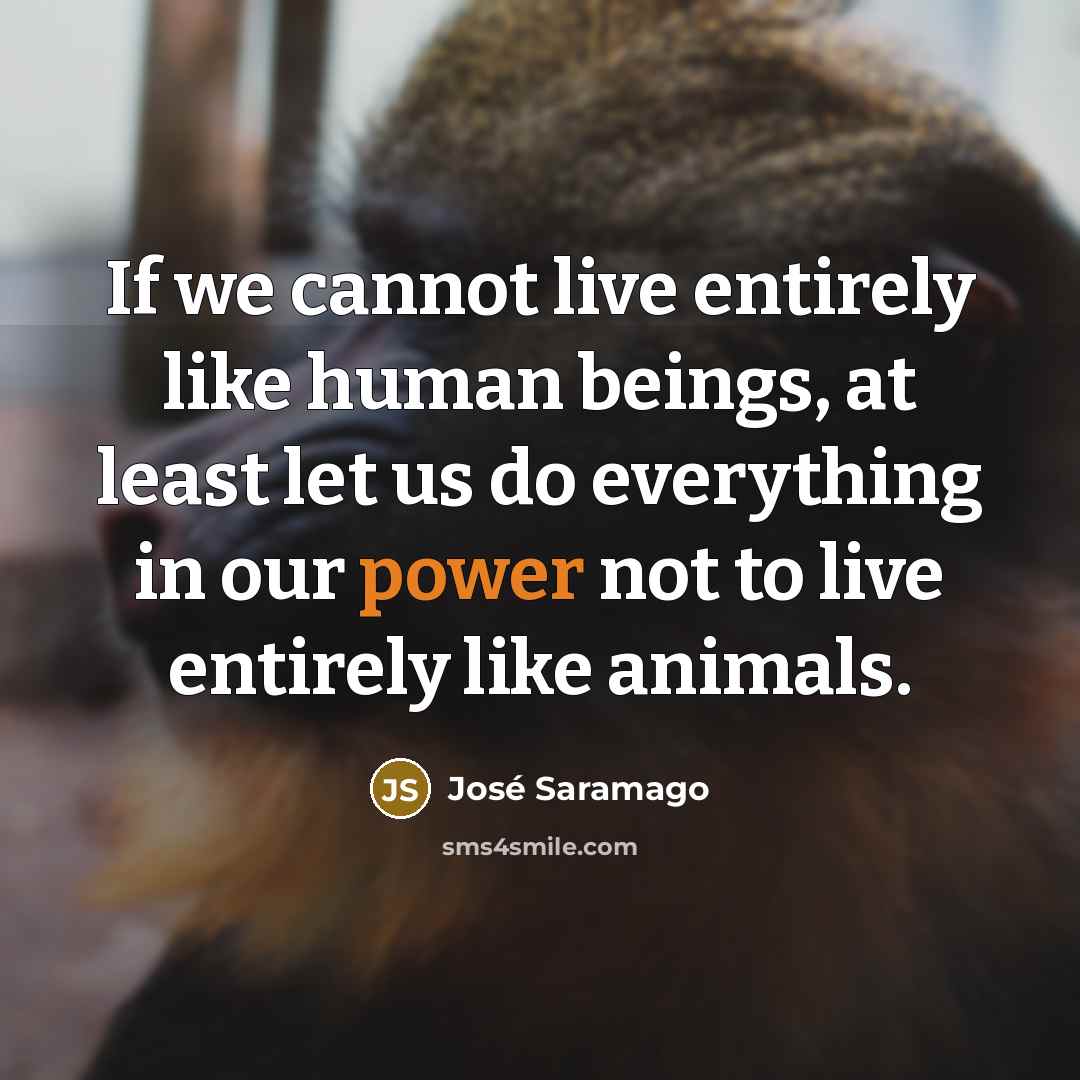 “If we cannot live entirely like human beings, at least…” quote by Jose Saramago