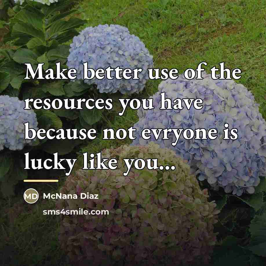 “Make better use of the resources you have because not…” quote by McNana Diaz