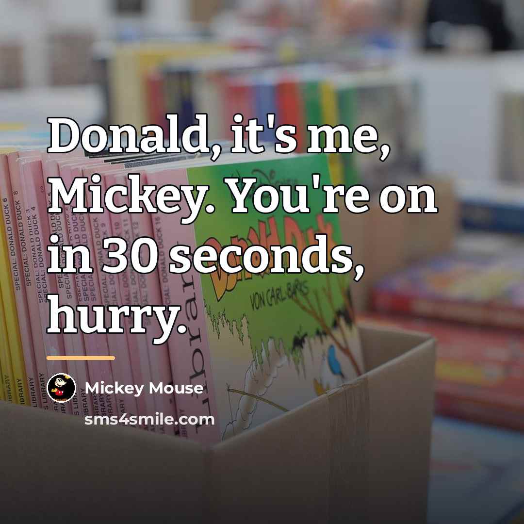 “Donald, it's me, Mickey. You're on in 30 seconds, hurry.…” quote by Mickey Mouse