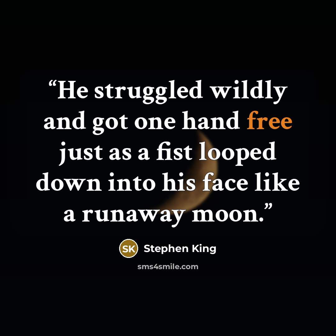 “He struggled wildly and got one hand free just as a fist looped down into his face like a runaway moon.” quote by Stephen King