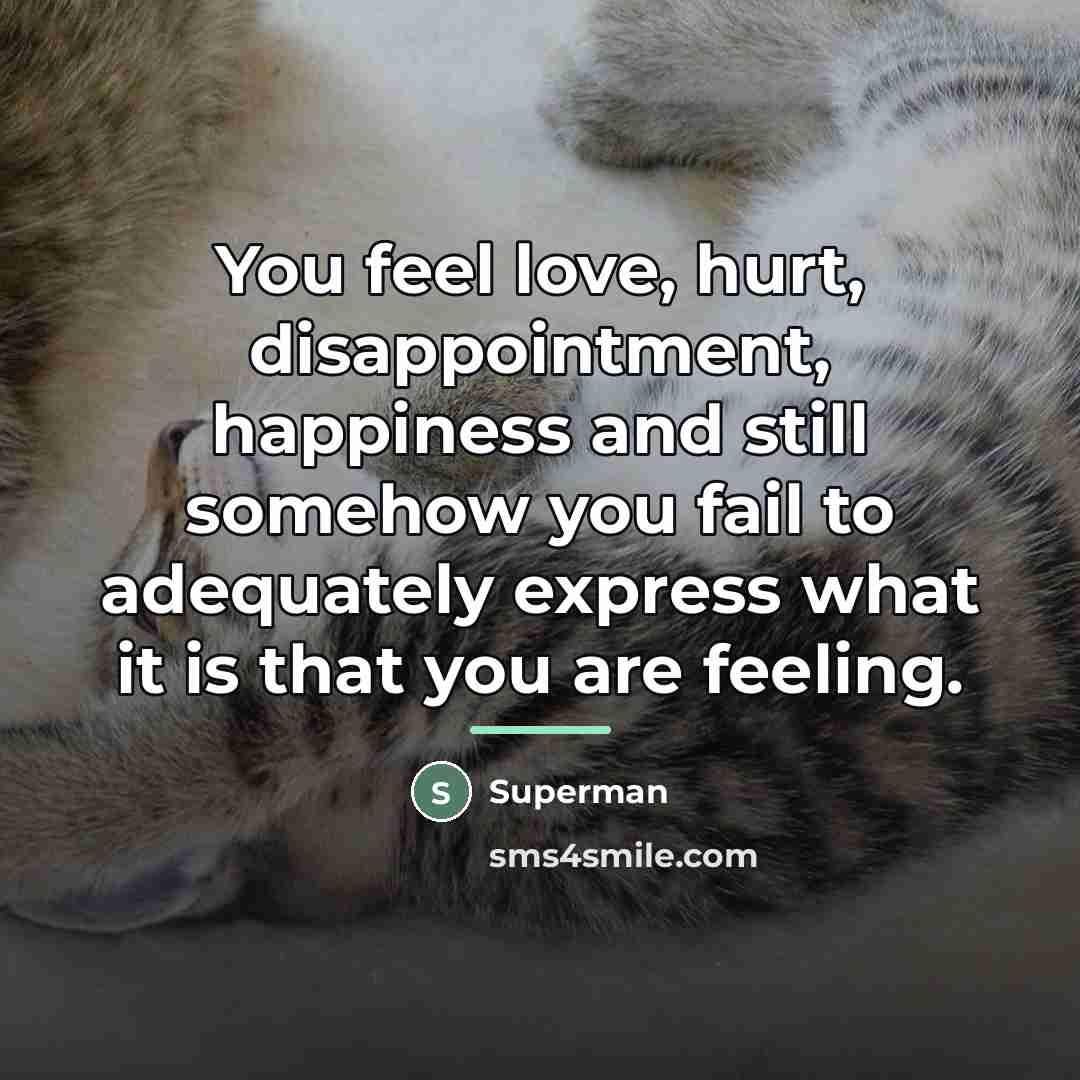 “You feel love, hurt, disappointment, happiness and still somehow you…” quote by Superman