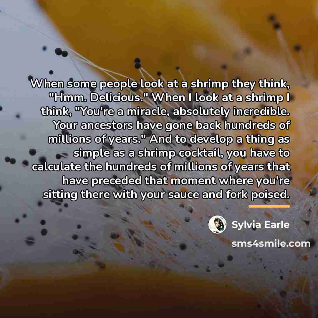 “When some people look at a shrimp they think, "Hmm.…” quote by Sylvia Earle