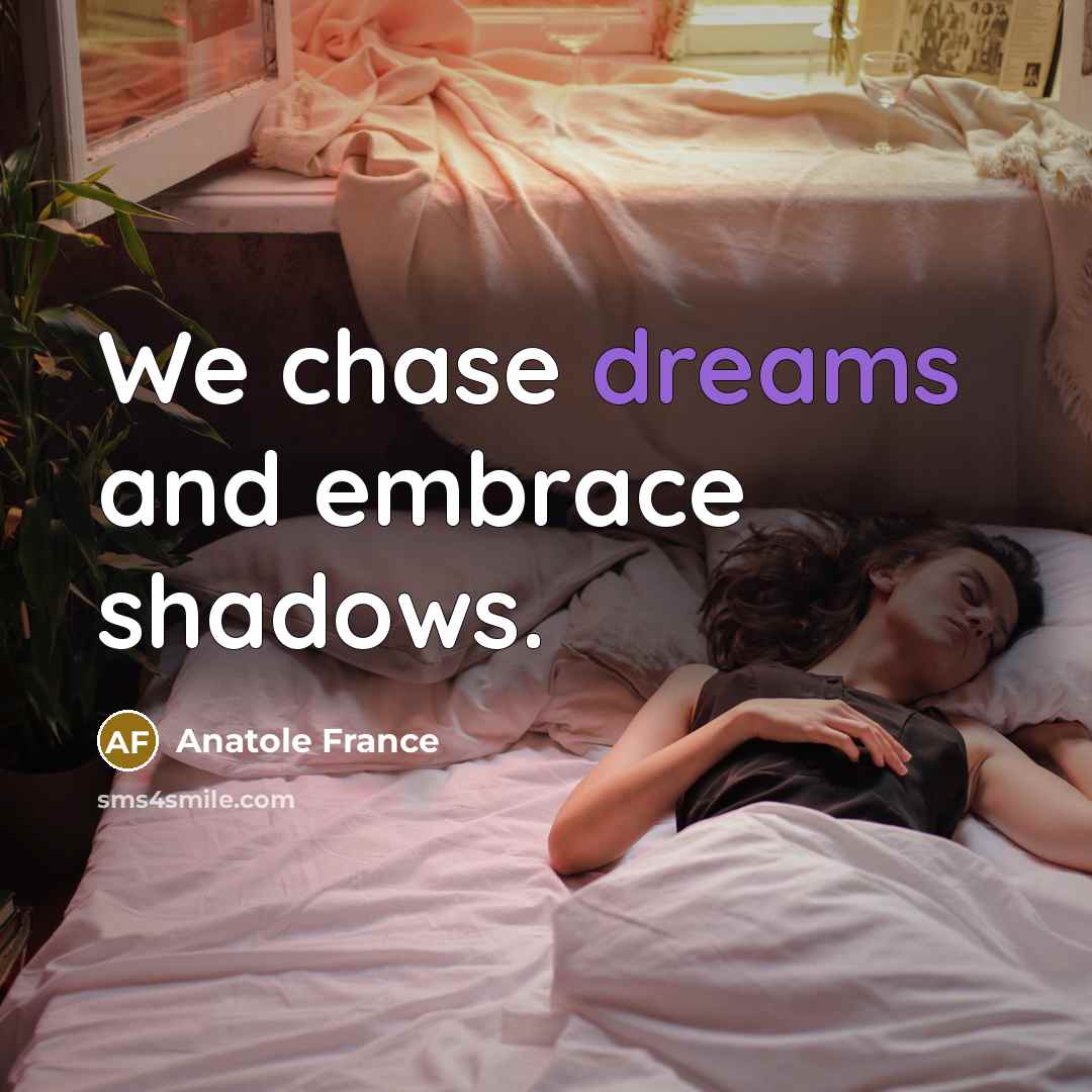 “We chase dreams and embrace shadows.…” quote by Anatole France