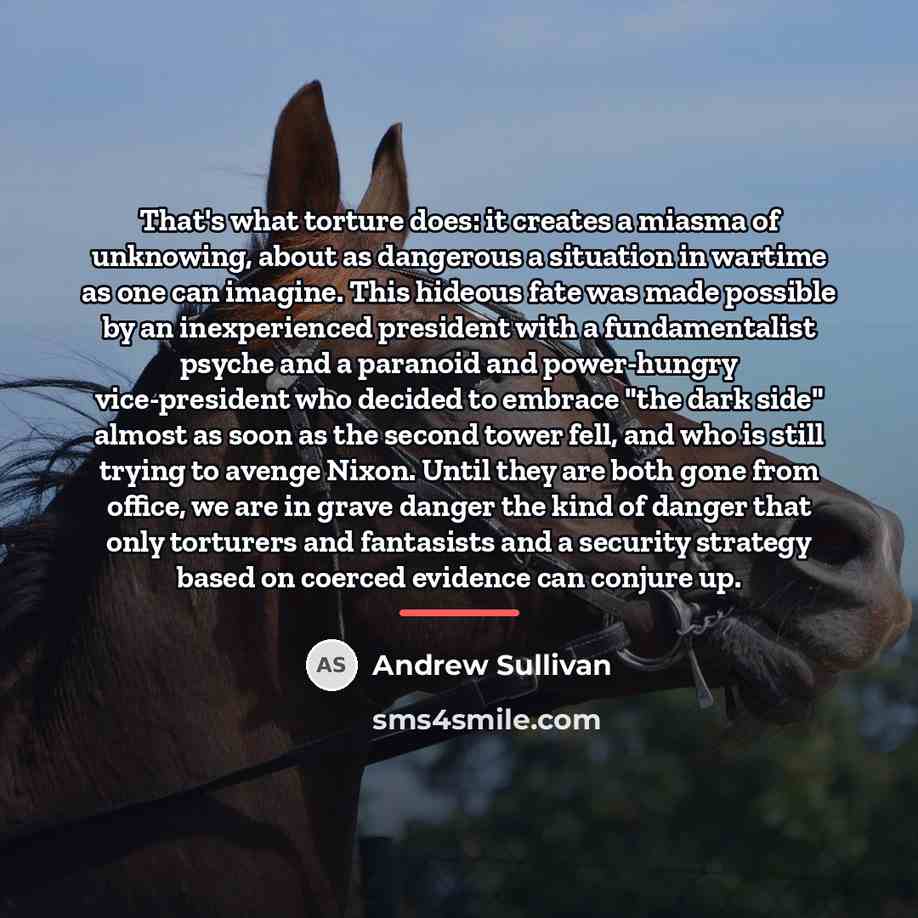 “That's what torture does: it creates a miasma of unknowing,…” quote by Andrew Sullivan