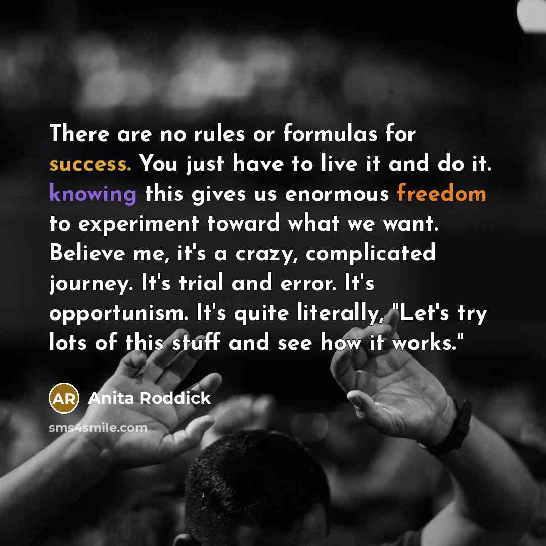 “There are no rules or formulas for success. You just…” quote by Anita Roddick