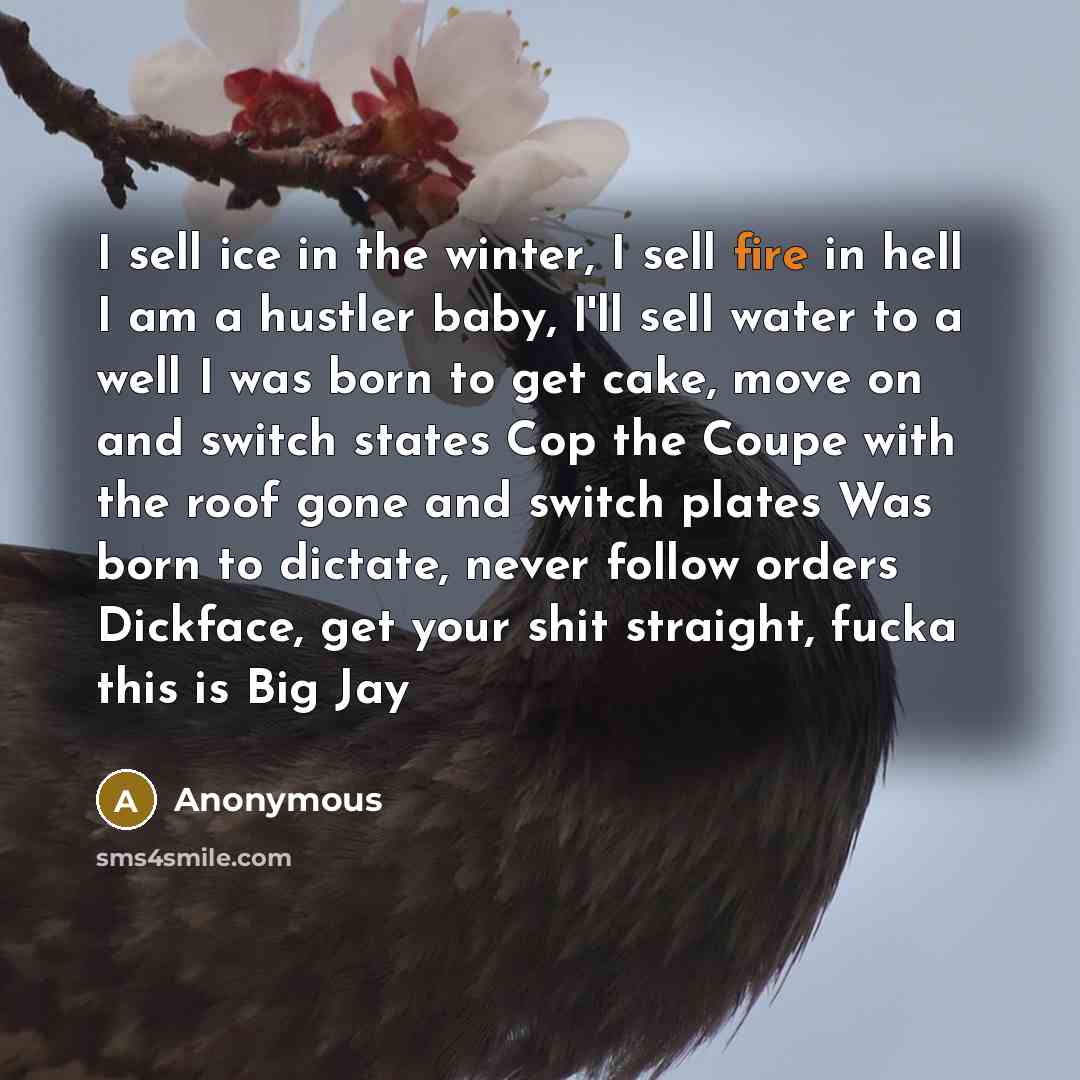 “I sell ice in the winter, I sell fire in hell I am a hustler baby, I'll sell water to a well I was born to get cake, move on and switch states Cop the Coupe with the roof gone and switch plates Was born to dictate, never follow orders Dickface, get your shit straight, fucka this is Big Jay” quote by Anonymous