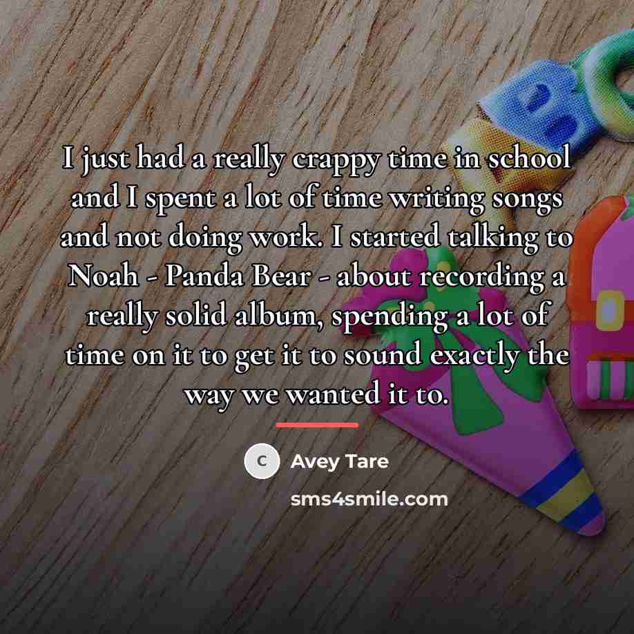 “I just had a really crappy time in school and…” quote by Avey Tare