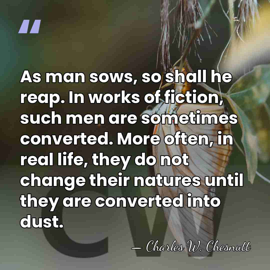 As man sows, so shall he reap. In works of fiction, such&hellip; - Charles W. Chesnutt