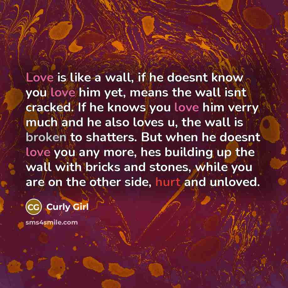 “Love is like a wall, if he doesnt know you…” quote by Curly Girl