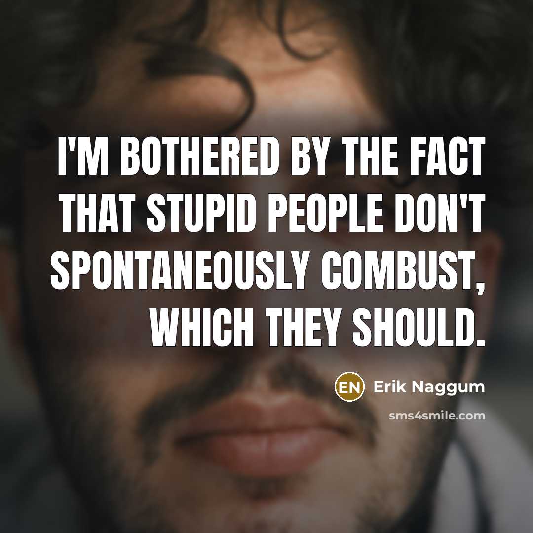 “I'm bothered by the fact that stupid people don't spontaneously…” quote by Erik Naggum
