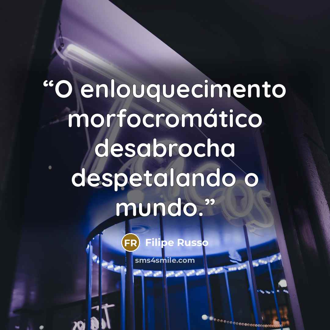 “O enlouquecimento morfocromático desabrocha despetalando o mundo.” quote by Filipe Russo