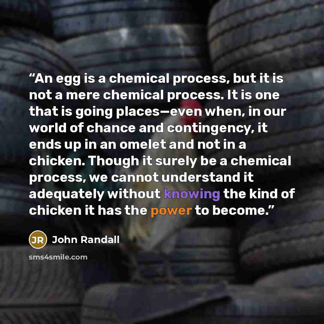 “An egg is a chemical process, but it is not a mere chemical process. It is one that is going places—even when, in our world of chance and contingency, it ends up in an omelet and not in a chicken. Though it surely be a chemical process, we cannot understand it adequately without knowing the kind…” quote by John Randall