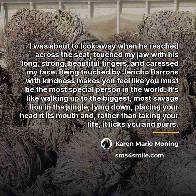 “I was about to look away when he reached across…” quote by Karen Marie Moning