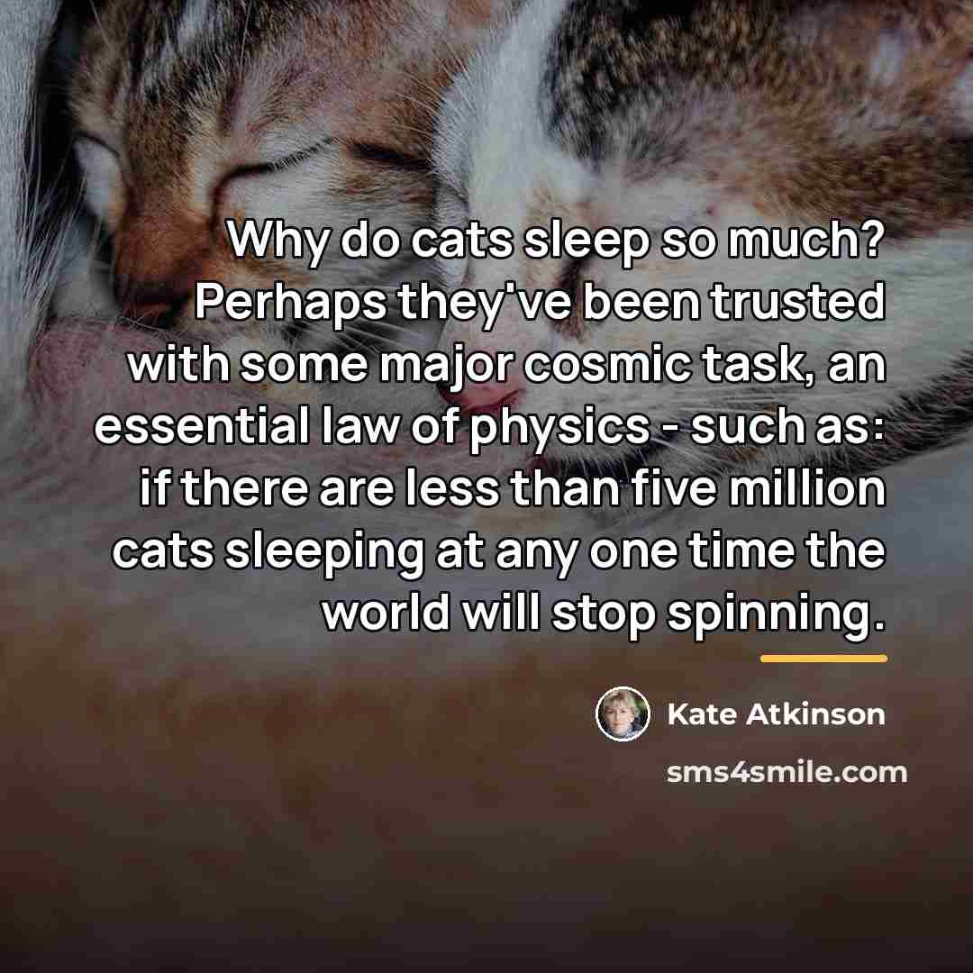 “Why do cats sleep so much? Perhaps they've been trusted…” quote by Kate Atkinson