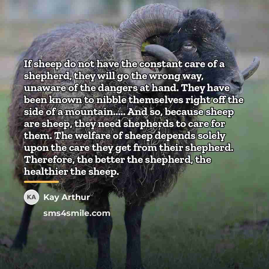“If sheep do not have the constant care of a…” quote by Kay Arthur