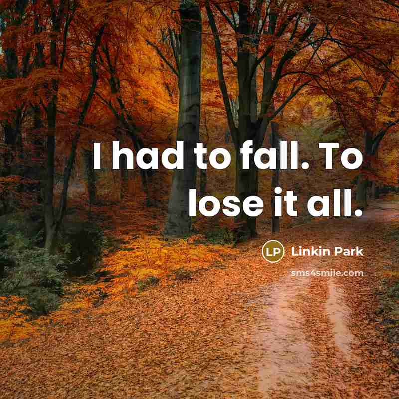 “I had to fall. To lose it all.…” quote by Linkin Park