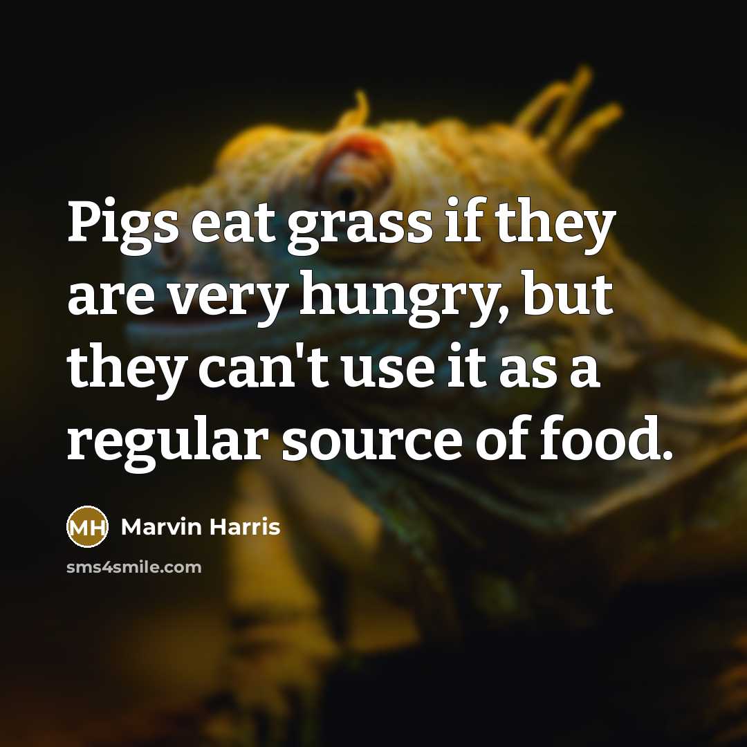 “Pigs eat grass if they are very hungry, but they can't use it as a regular source of food.” quote by Marvin Harris