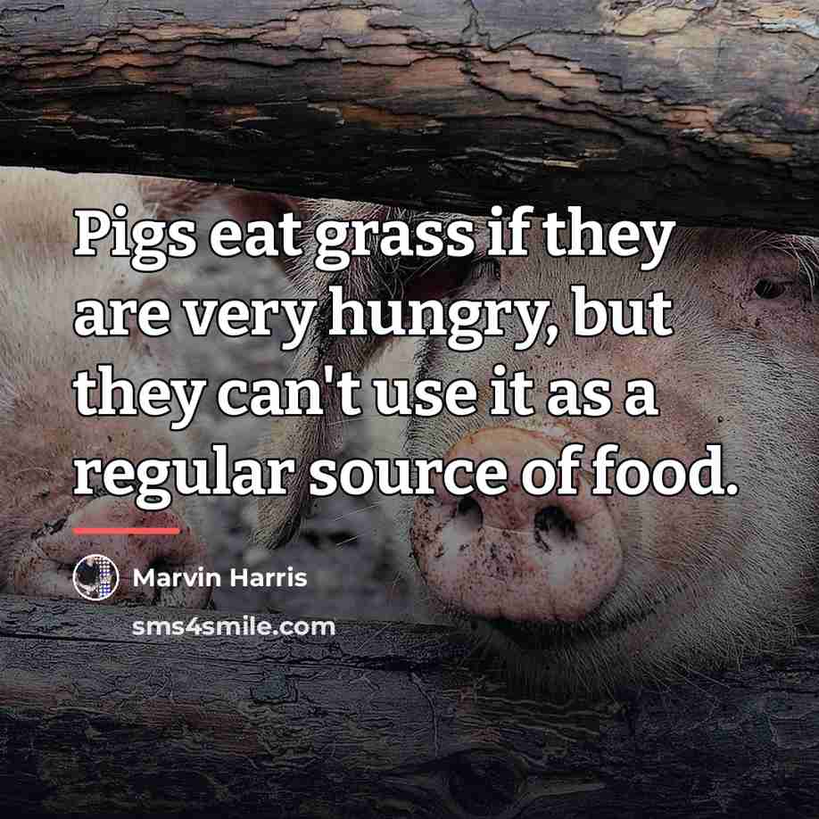 “Pigs eat grass if they are very hungry, but they…” quote by Marvin Harris