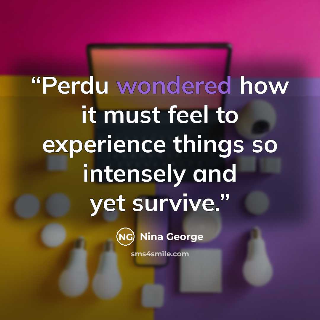 “Perdu wondered how it must feel to experience things so intensely and yet survive.” quote by Nina George
