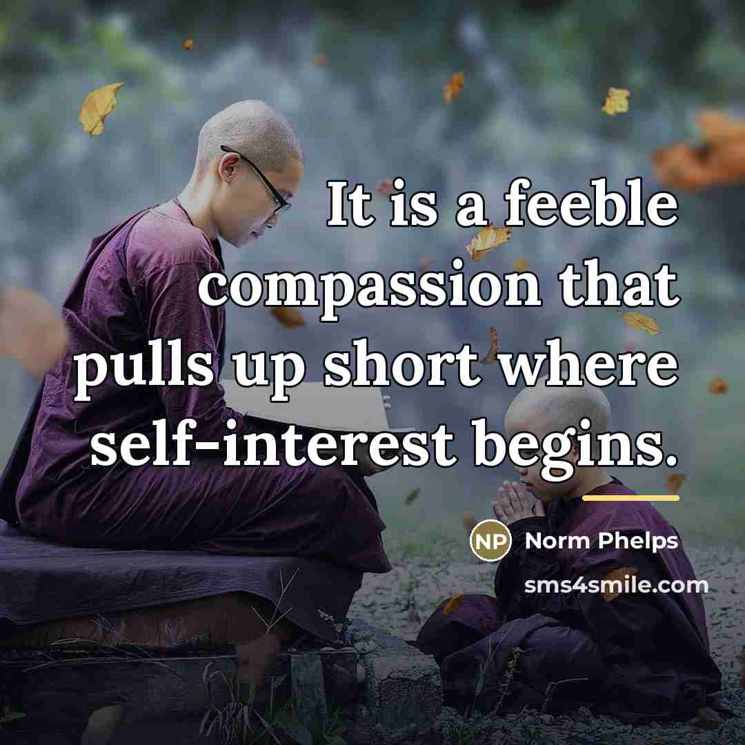 “It is a feeble compassion that pulls up short where…” quote by Norm Phelps