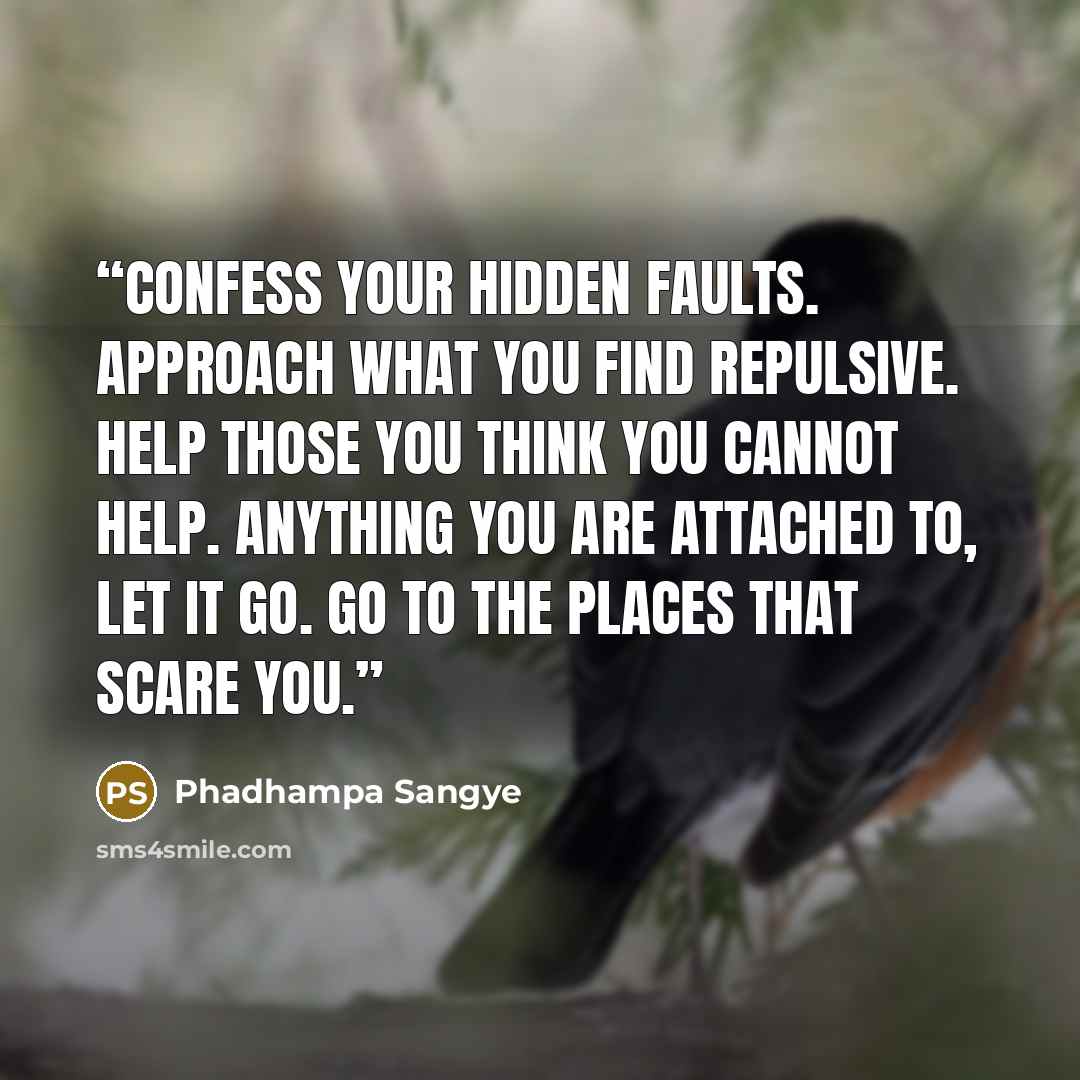 “Confess your hidden faults. Approach what you find repulsive. Help those you think you cannot help. Anything you are attached to, let it go. Go to the places that scare you.” quote by Phadhampa Sangye