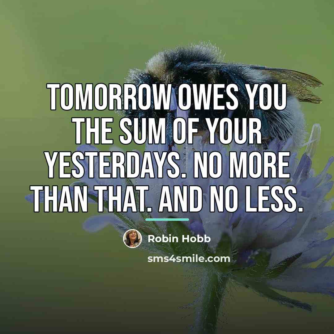 “Tomorrow owes you the sum of your yesterdays. No more…” quote by Robin Hobb