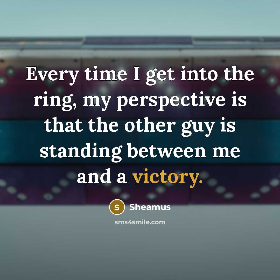 “Every time I get into the ring, my perspective is…” quote by Sheamus