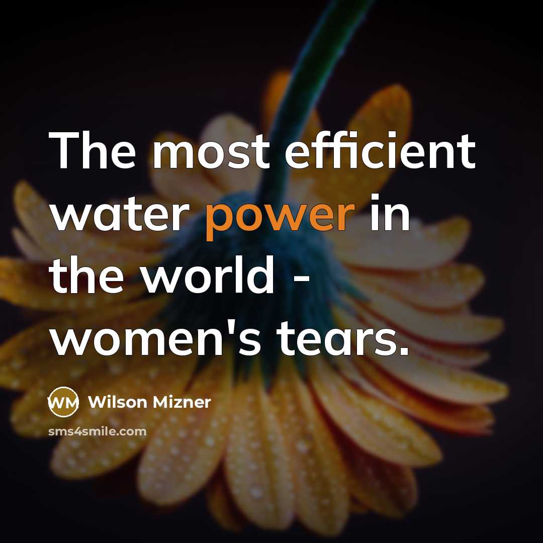 “The most efficient water power in the world - women's…” quote by Wilson Mizner