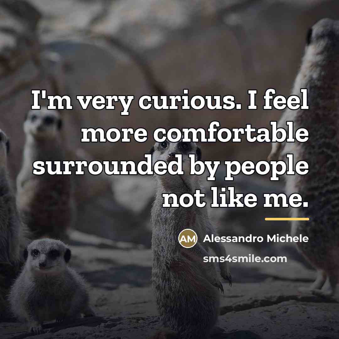 “I'm very curious. I feel more comfortable surrounded by people…” quote by Alessandro Michele