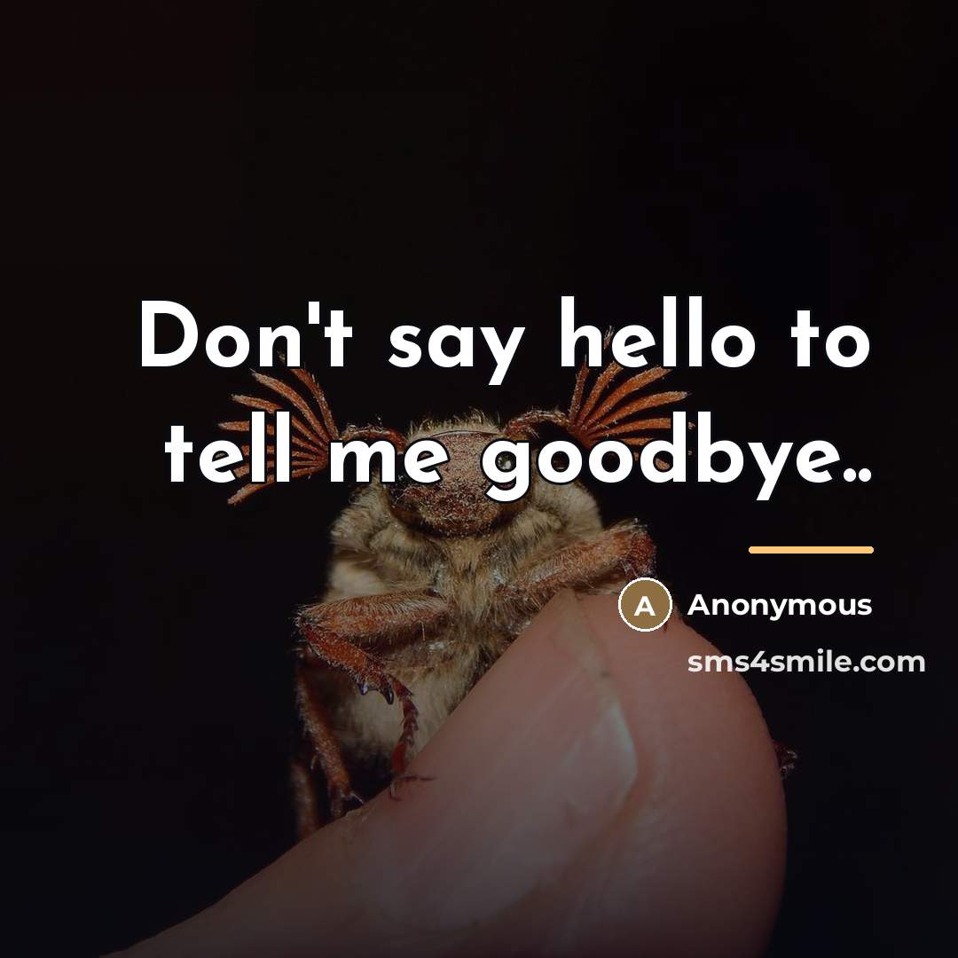 “Don't say hello to tell me goodbye..…” quote by Anonymous