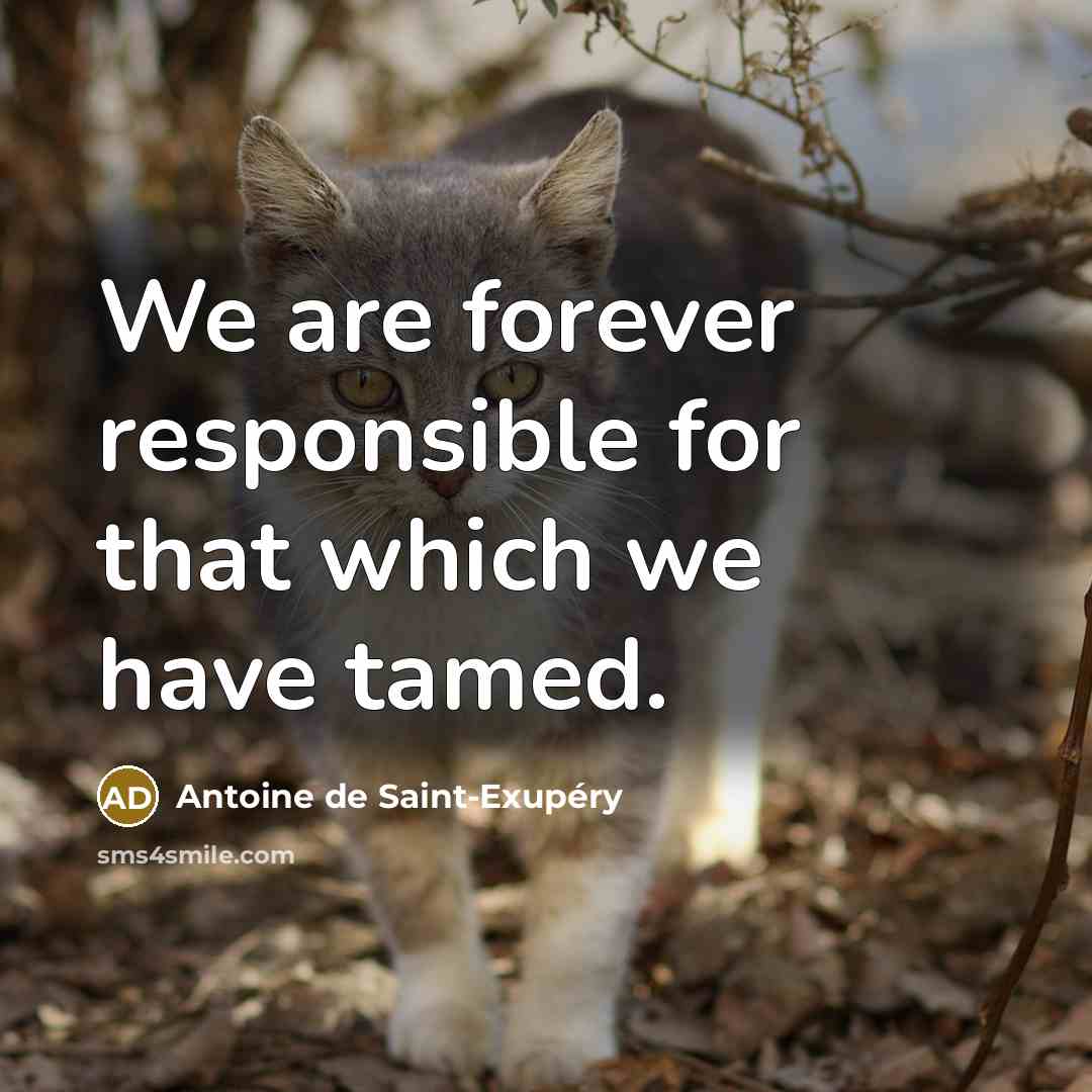 “We are forever responsible for that which we have tamed.…” quote by Antoine de Saint-Exupery