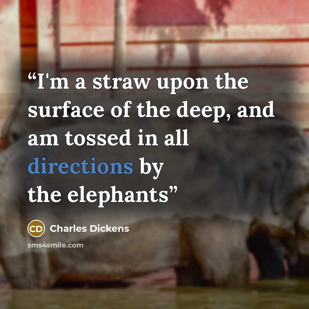 “I'm a straw upon the surface of the deep, and am tossed in all directions by the elephants” quote by Charles Dickens