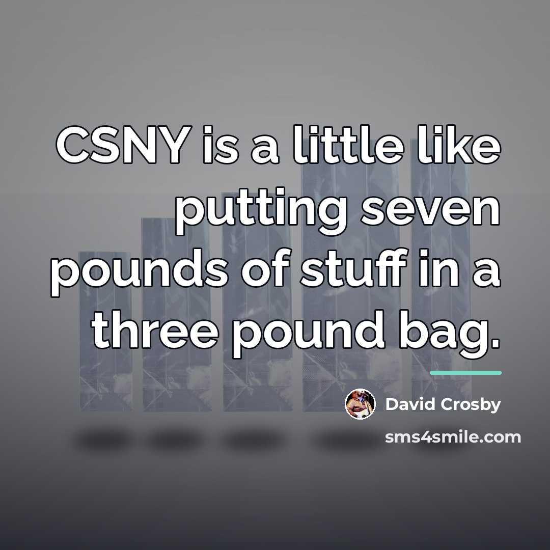 “CSNY is a little like putting seven pounds of stuff…” quote by David Crosby