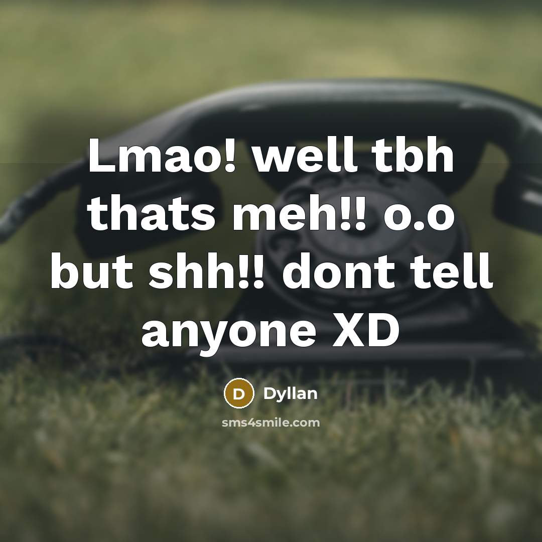 “Lmao! well tbh thats meh!! o.o but shh!! dont tell…” quote by Dyllan