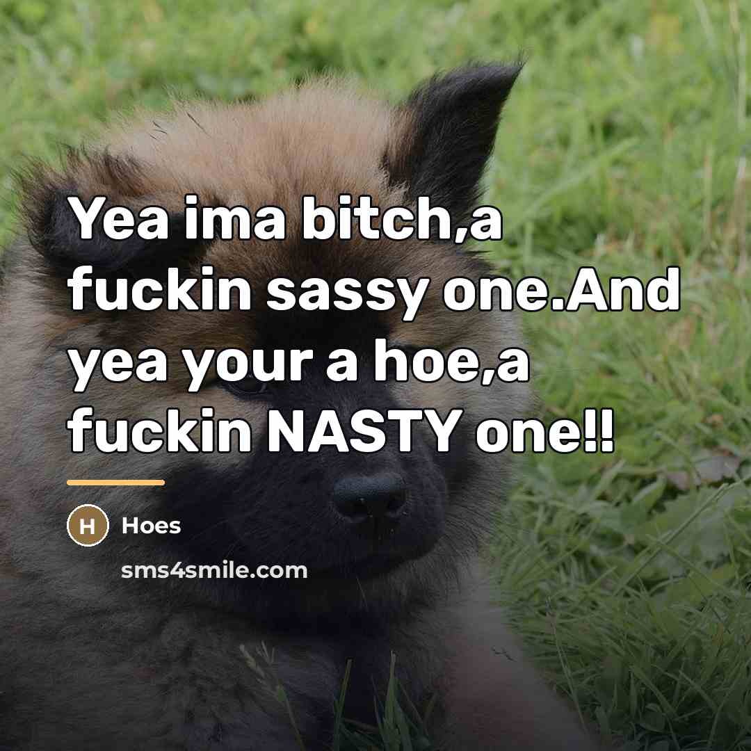 “Yea ima bitch,a fuckin sassy one.And yea your a hoe,a…” quote by Hoes