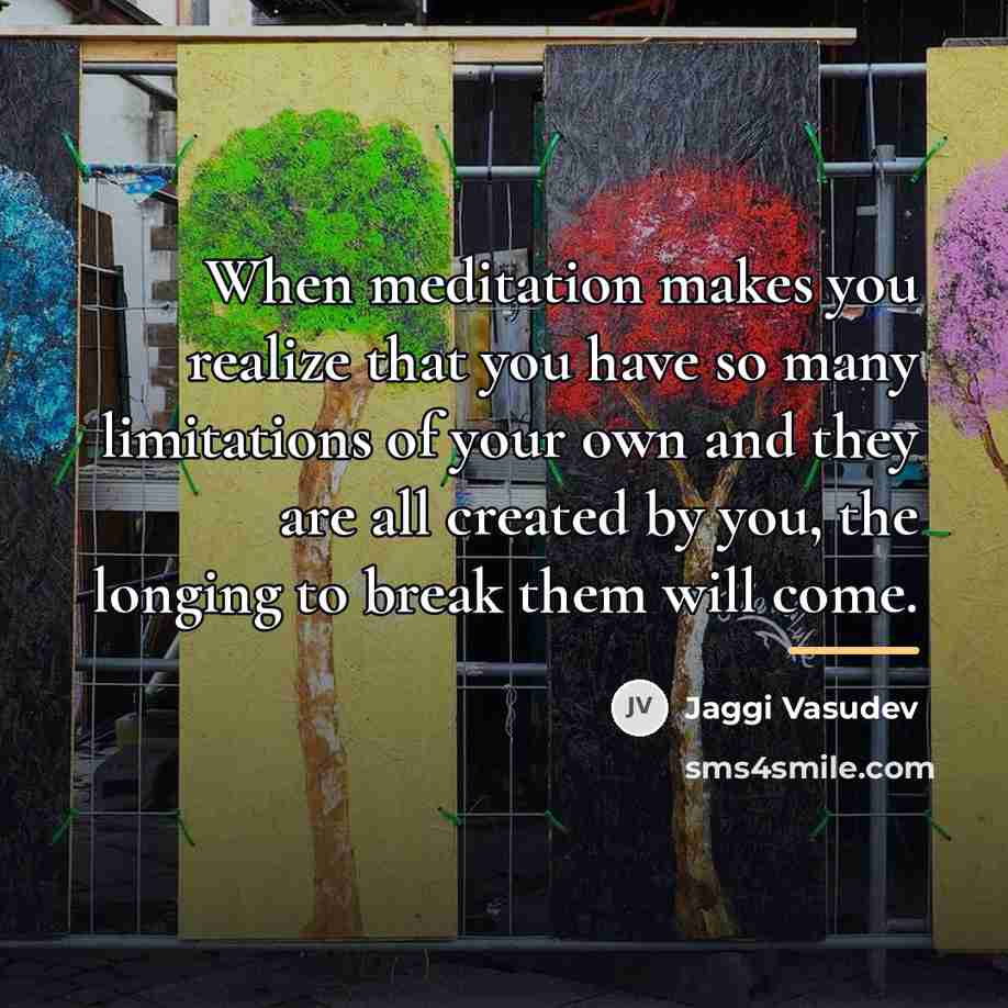 “When meditation makes you realize that you have so many…” quote by Jaggi Vasudev
