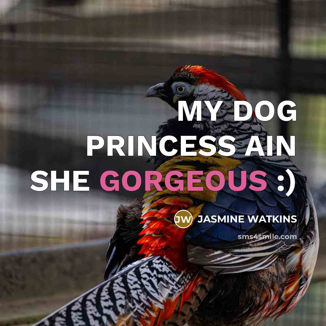 “MY DOG PRINCESS AIN SHE GORGEOUS :)” quote by Jasmine Watkins
