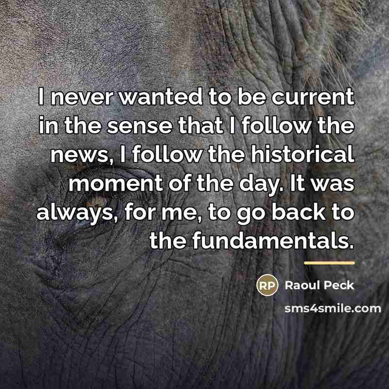 “I never wanted to be current in the sense that…” quote by Raoul Peck