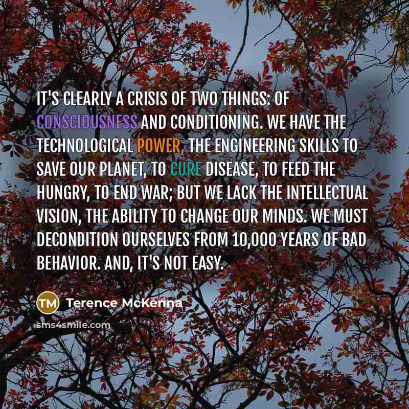 “It's clearly a crisis of two things: of consciousness and…” quote by Terence McKenna