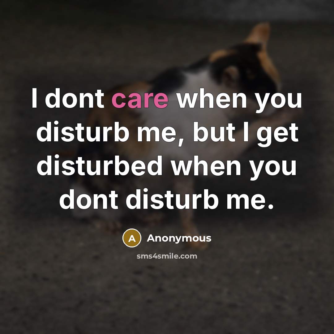 “I dont care when you disturb me, but I get…” quote by Anonymous