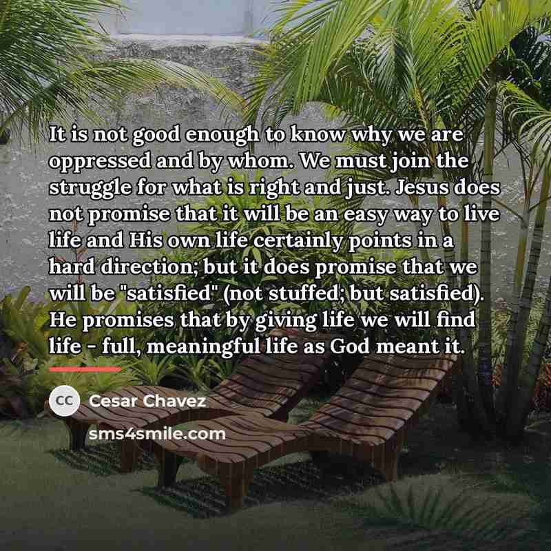 “It is not good enough to know why we are…” quote by Cesar Chavez