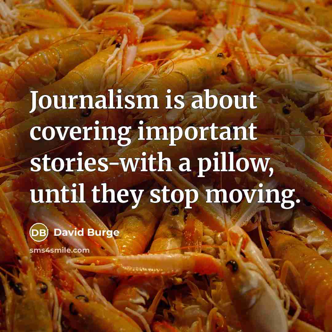“Journalism is about covering important stories-with a pillow, until they…” quote by David Burge