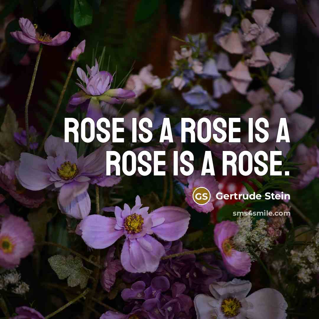 “Rose is a rose is a rose is a rose.…” quote by Gertrude Stein