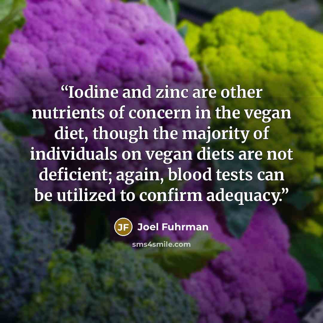 “Iodine and zinc are other nutrients of concern in the vegan diet, though the majority of individuals on vegan diets are not deficient; again, blood tests can be utilized to confirm adequacy.” quote by Joel Fuhrman