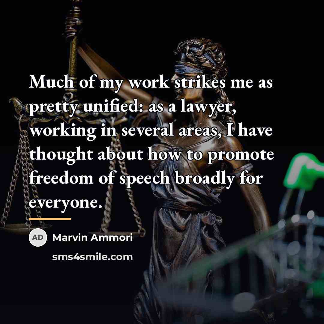 “Much of my work strikes me as pretty unified: as…” quote by Marvin Ammori