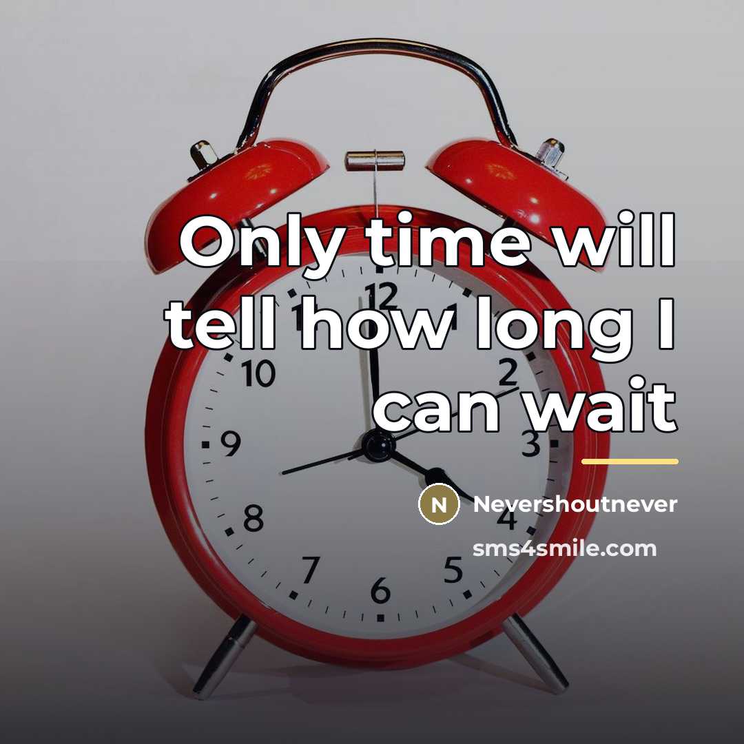 “Only time will tell how long I can wait…” quote by Nevershoutnever