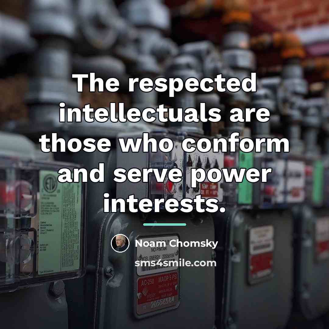 “The respected intellectuals are those who conform and serve power…” quote by Noam Chomsky