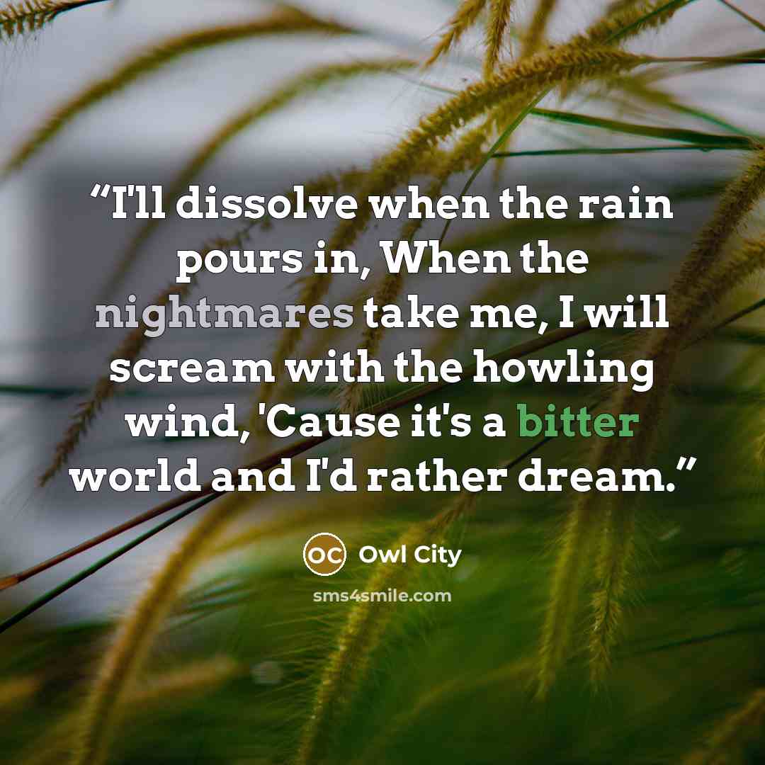 “I'll dissolve when the rain pours in, When the nightmares take me, I will scream with the howling wind, 'Cause it's a bitter world and I'd rather dream.” quote by Owl City