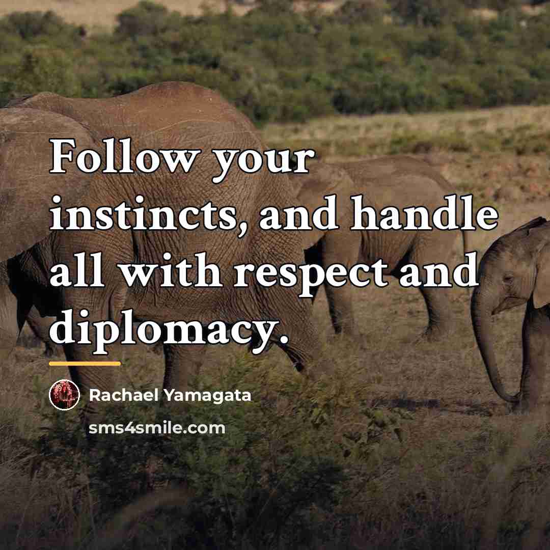 “Follow your instincts, and handle all with respect and diplomacy.…” quote by Rachael Yamagata