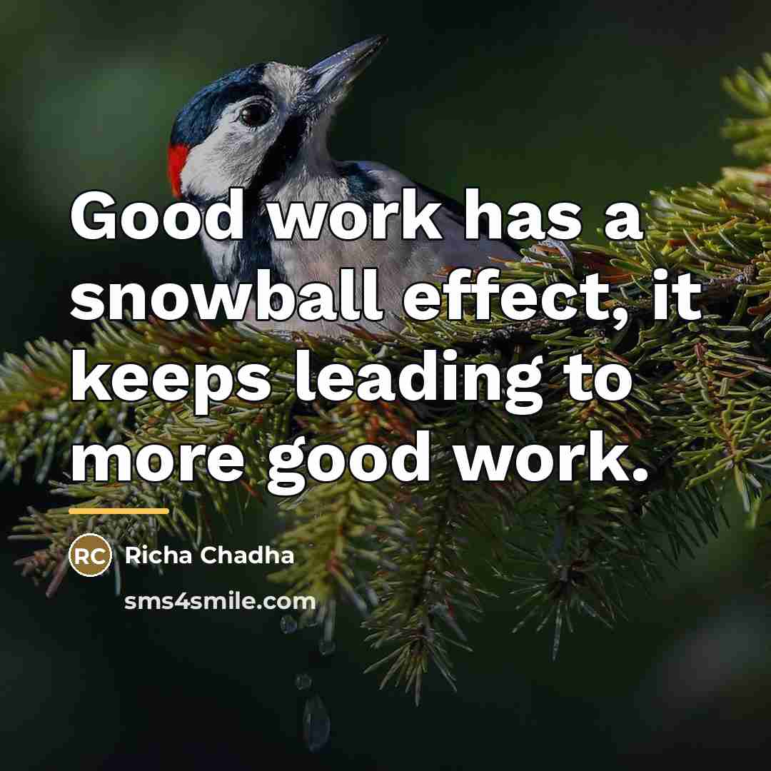 “Good work has a snowball effect, it keeps leading to…” quote by Richa Chadha